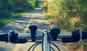 Cykelstyre med en grön skogsväg framför sig